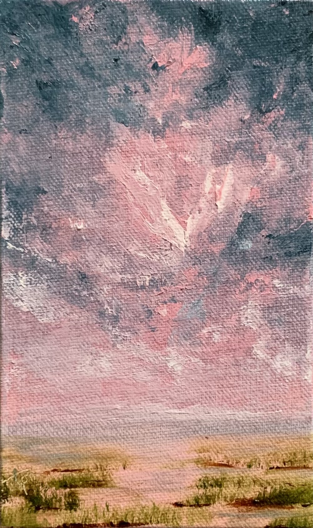 Original tiny oil painting by Tisha Mark, Week 36, 52 Weeks of Finding Light Series, 5"x3" oil on linen panel (2023). Painting of a pink cloudscape over a coastal marsh.